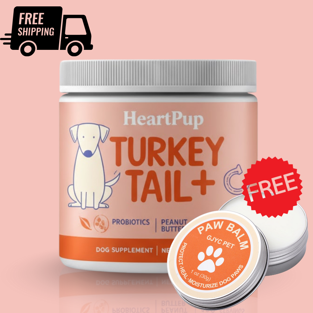 HeartPup Turkey Tail Mushroom for Dogs