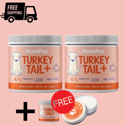 HeartPup Turkey Tail Mushroom for Dogs