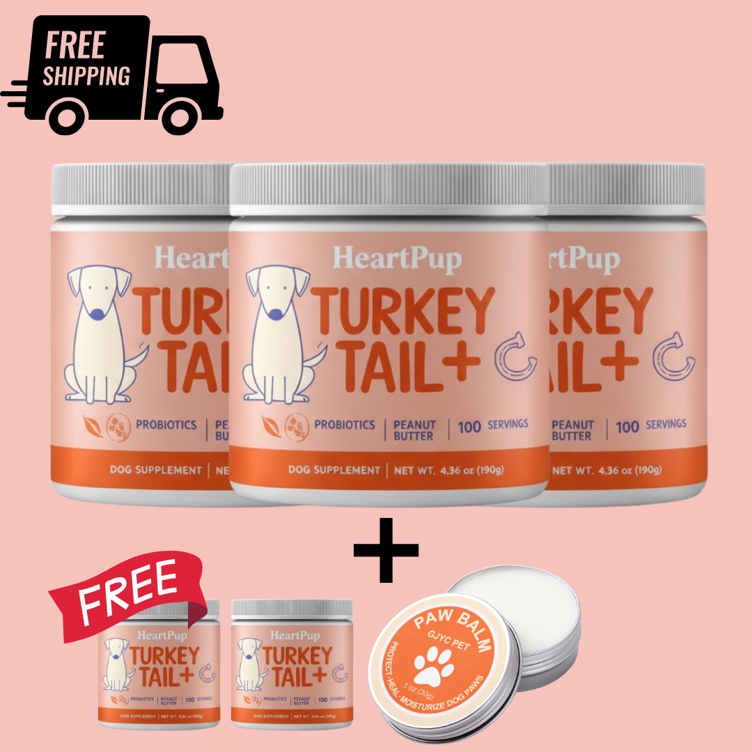 HeartPup Turkey Tail Mushroom for Dogs