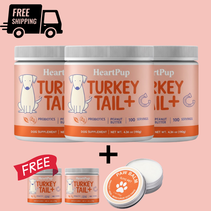 HeartPup Turkey Tail Mushroom for Dogs